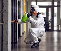 Best Comprehensive Air Testing for Mold Contaminants  in Old Stine, CA